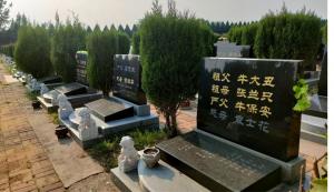 清明節文明祭祀倡議書