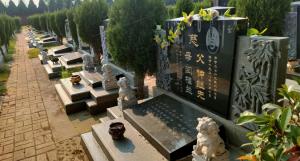 安陽(yáng)公墓殷商皇陵陵園呼吁大家文明祭掃